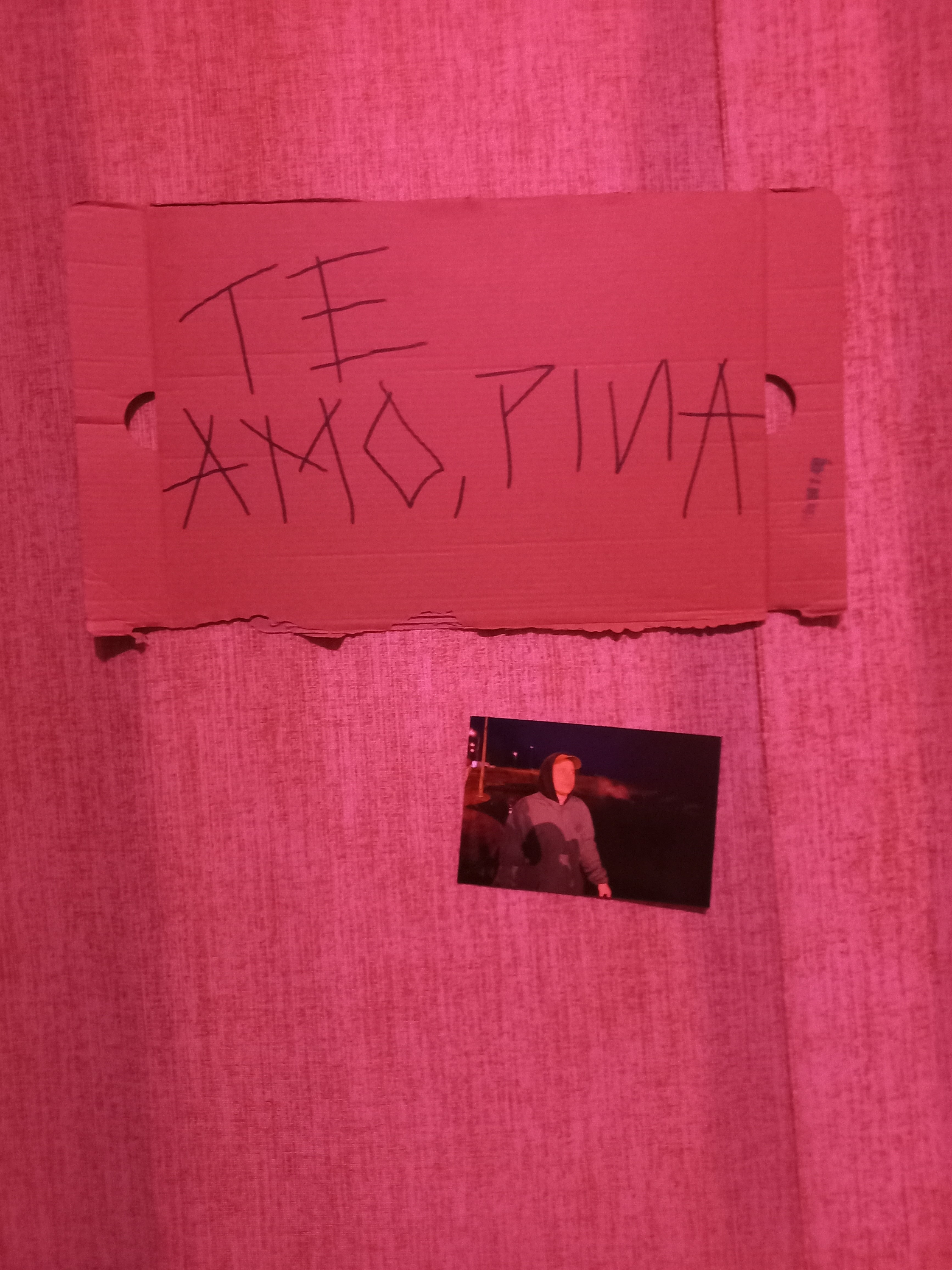 TE AMO PINA