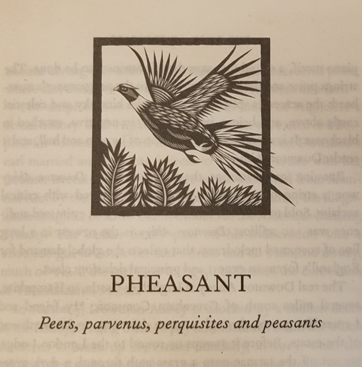 pheasant