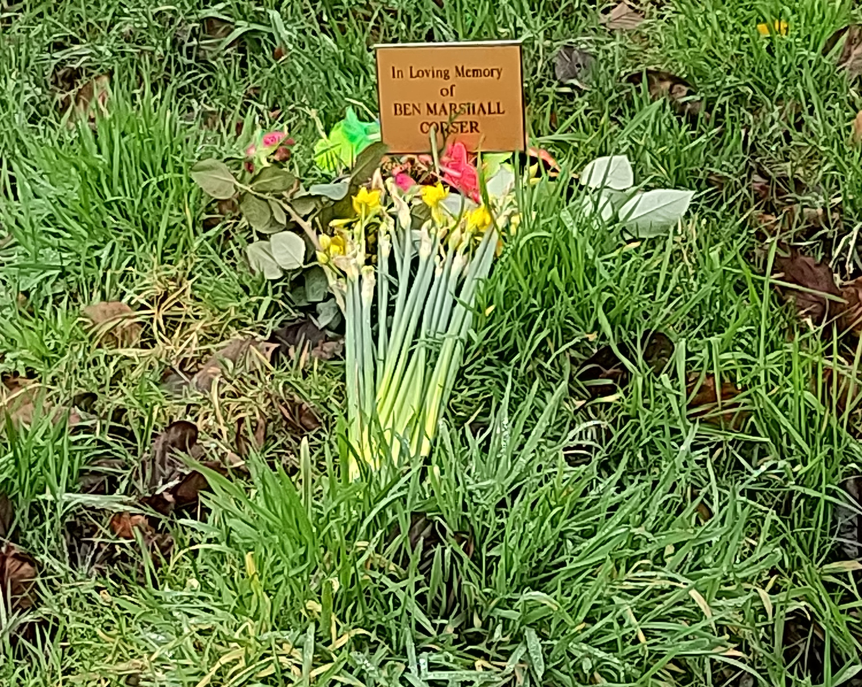 Ben's grave