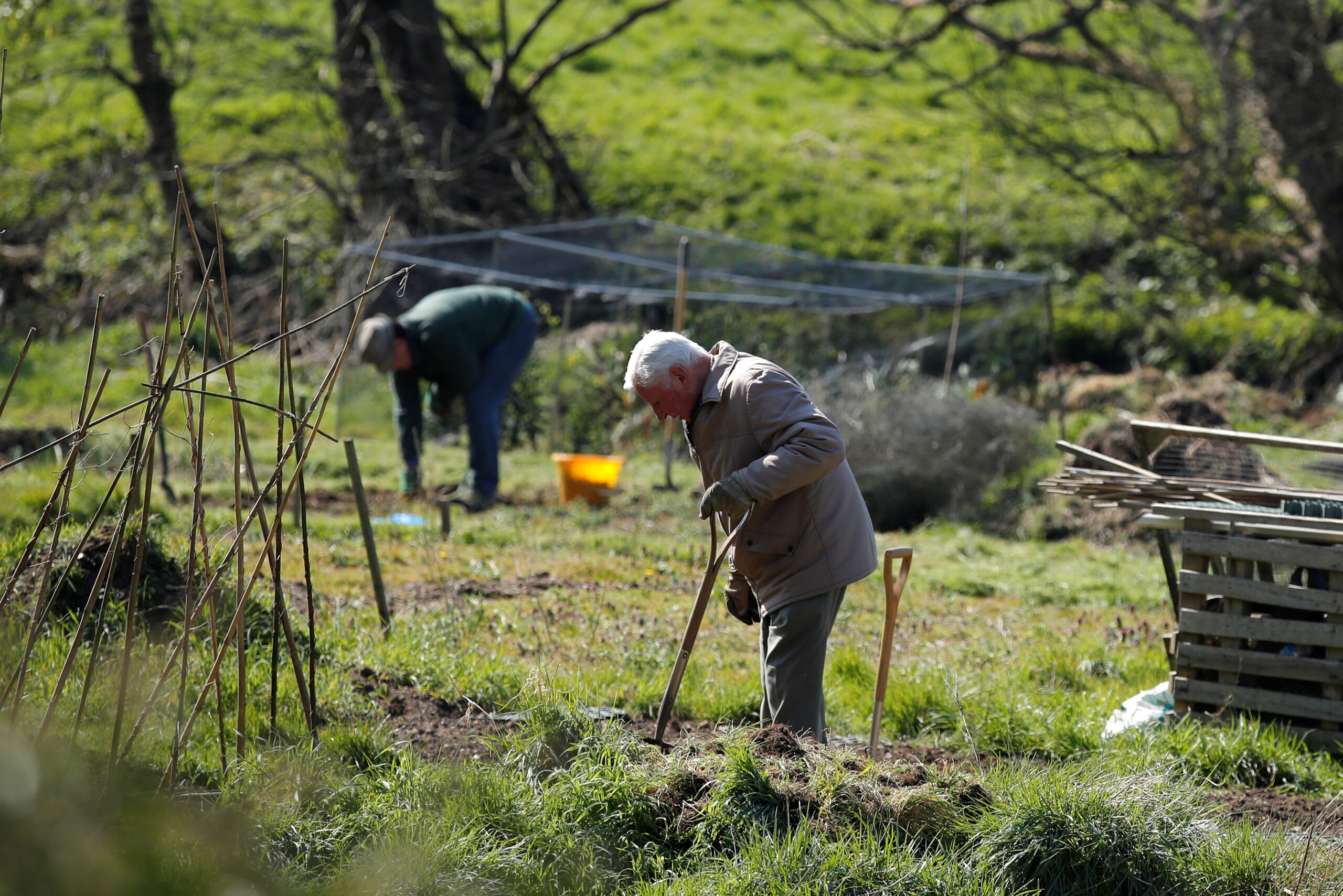 allotments