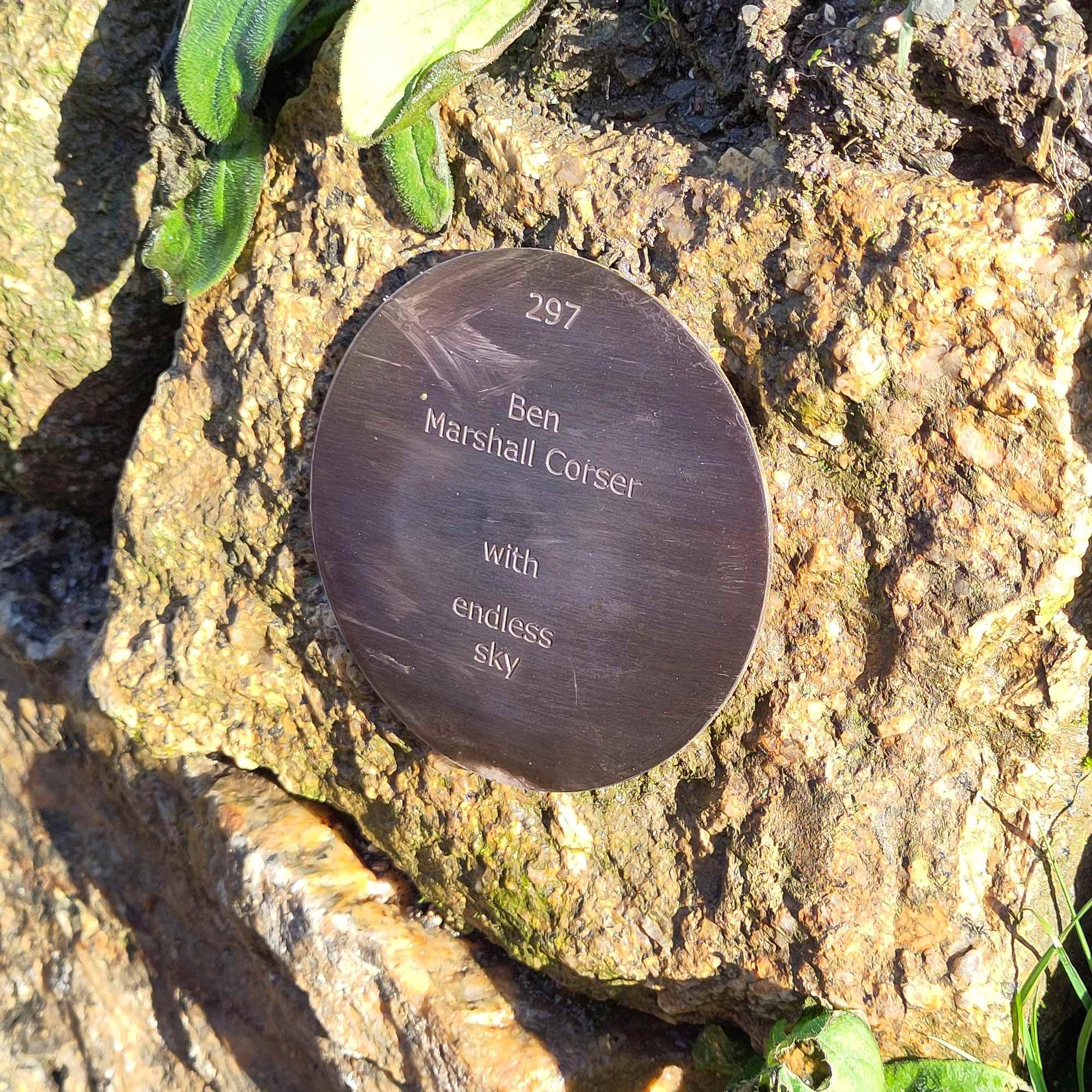plaque